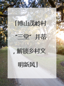博山茂岭村“三堂”并蒂，解锁乡村文明新风